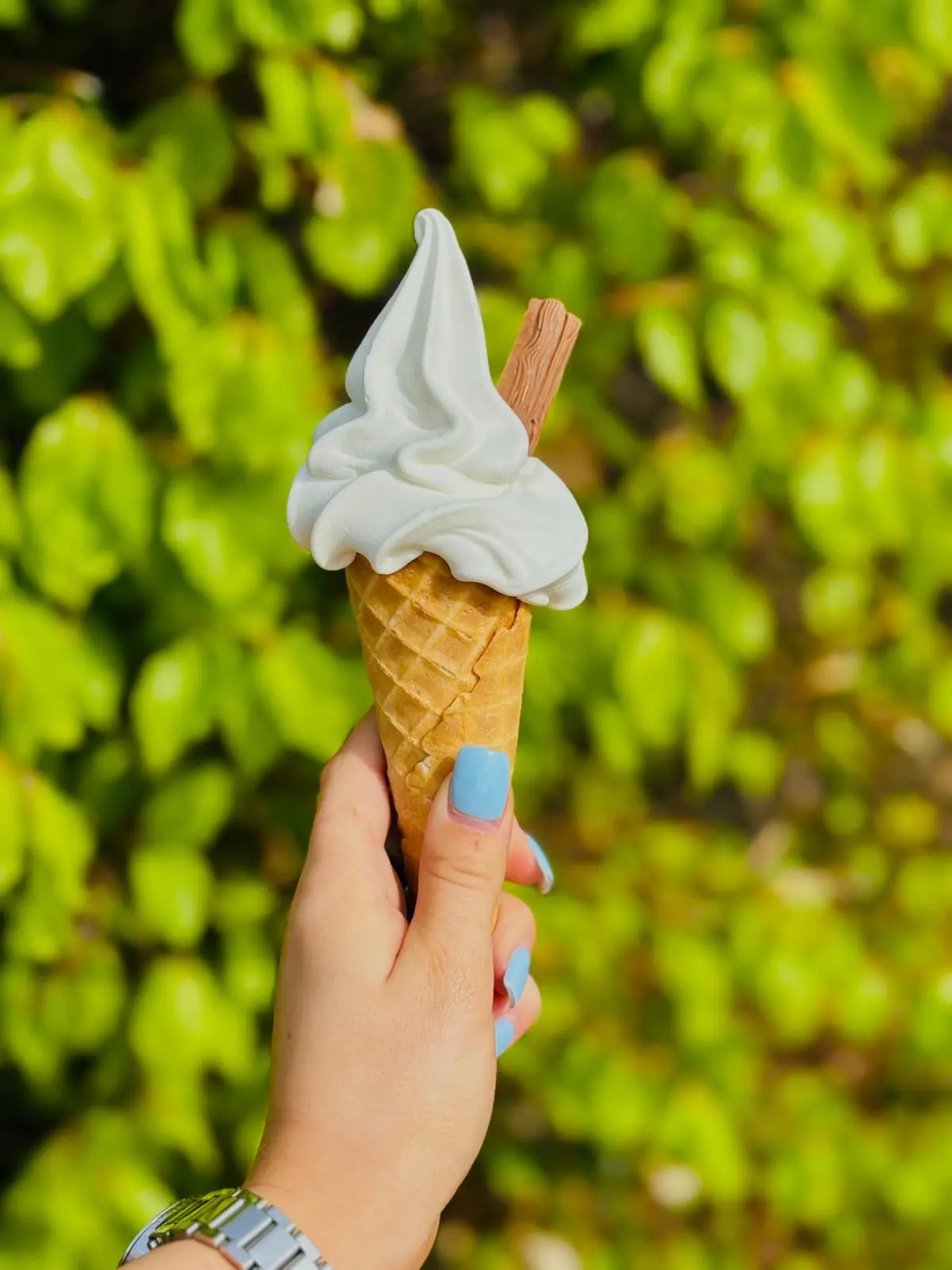 Traditional cone